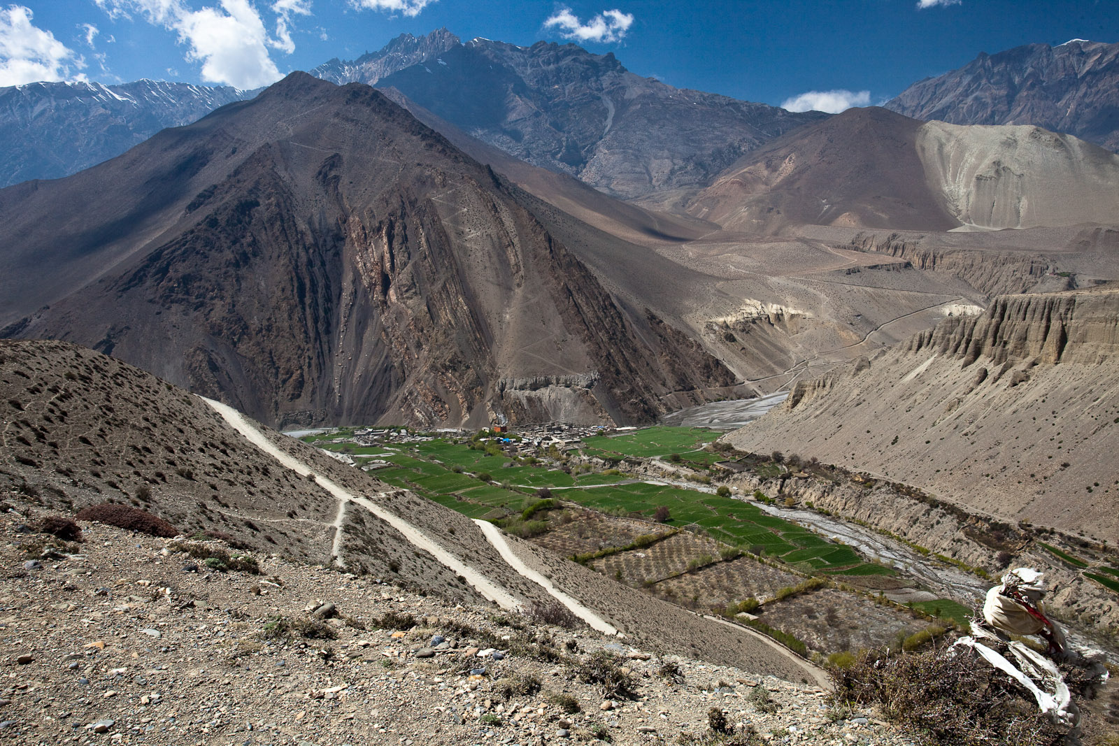 группа в Мустанг