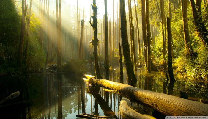 тури по всему тайваню