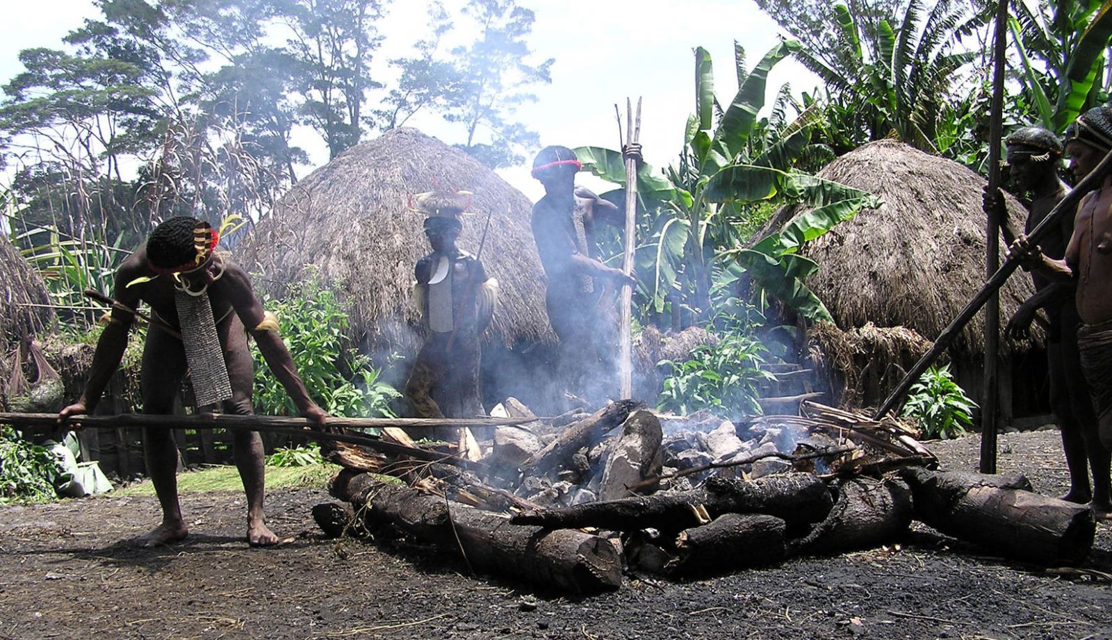 тур до Нової Гвінеї