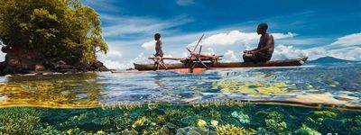 Остров Новая Гвинея