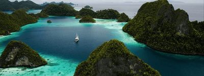 Папуа Новая Гвинея дикий мир