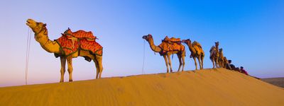 тур в раджастан