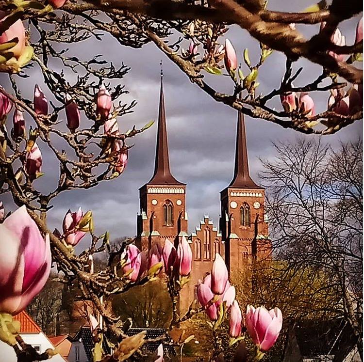 туры по копенгагену