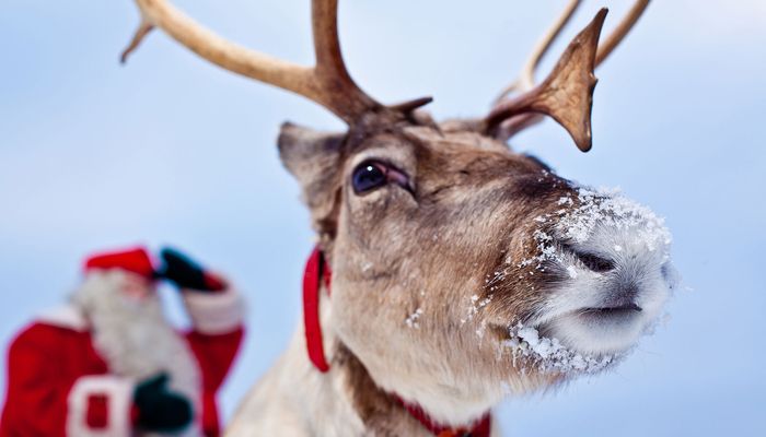 Горнолыжный курорт Леви на Новый год