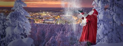 Рождественские туры в Финляндию