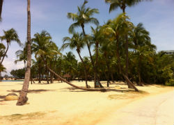 отзывы о Сингапуре