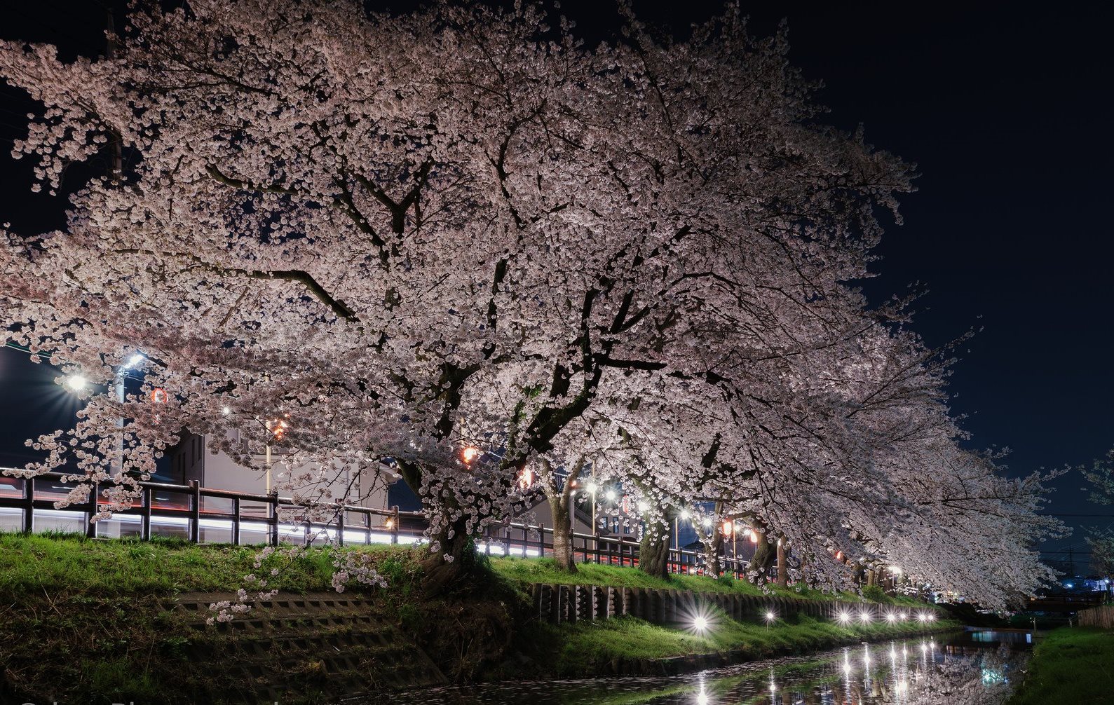 весенний тур в японию