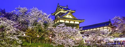 Туры в Япония. Лепестки Сакуры