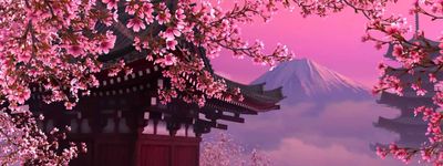 Тур в Японию. Ханами