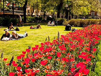 Швеция погода весной