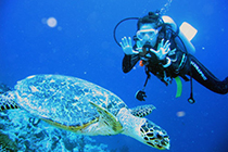 Дайвинг Шри-Ланка