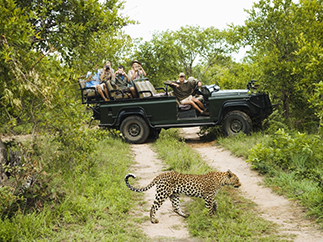 Сафари в Шри-Ланке