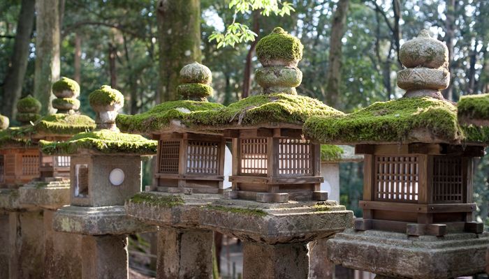 групповые туры по японии