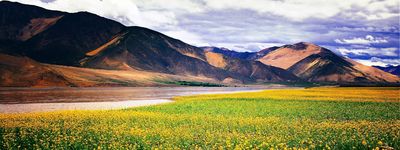 Тур в Тибет