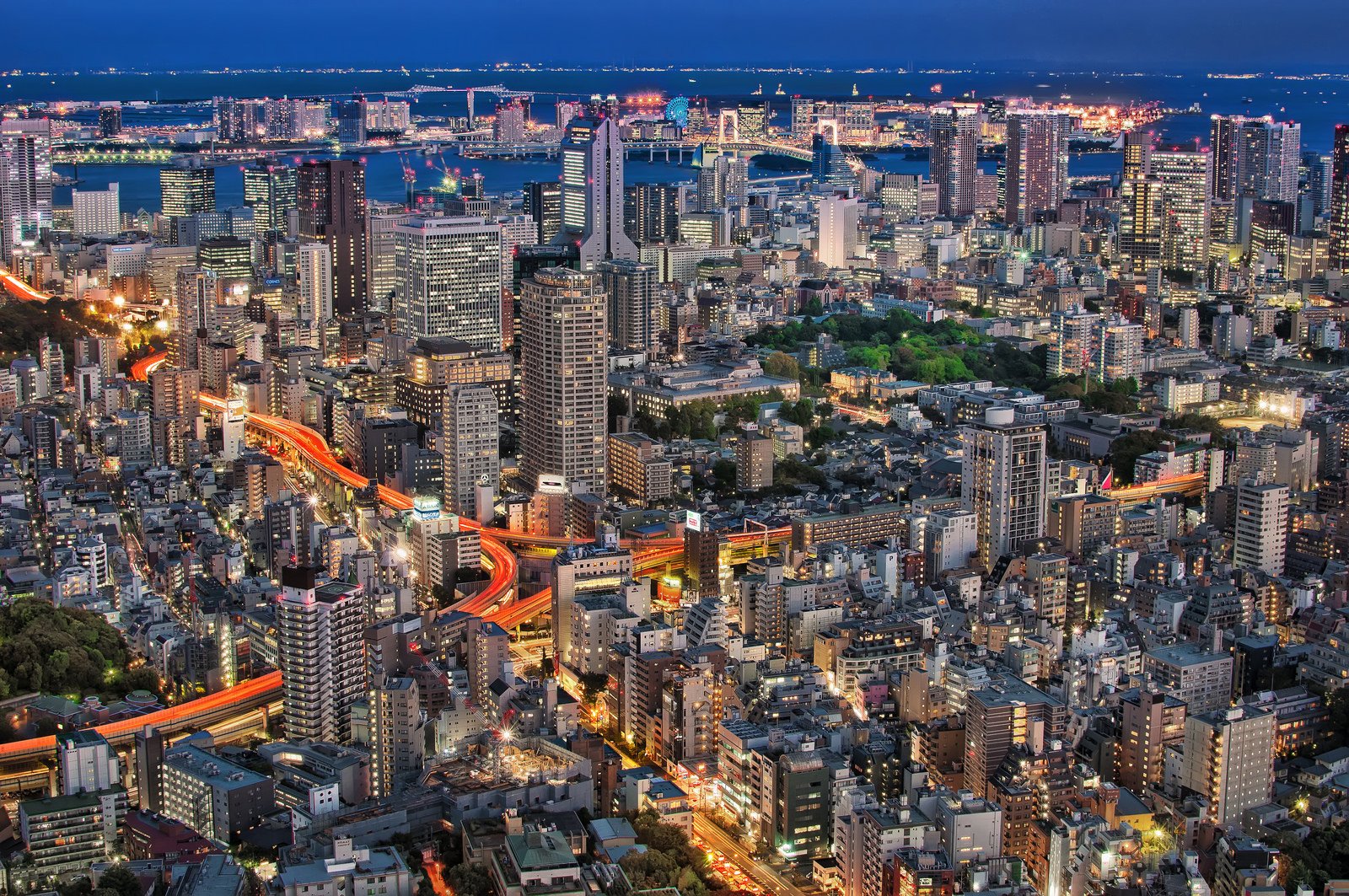 туры на цветение Сакуры