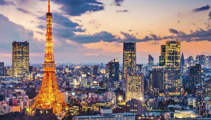 прогноз цветения сакуры