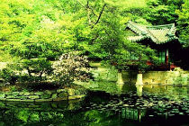 Туры в Корею