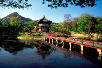 Туры в Южную Корею