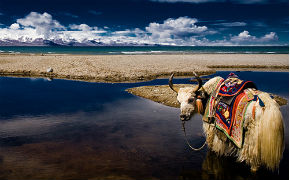 Цены на групповые туры в Тибет