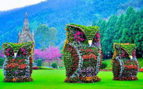 Цены на экскурсии в Тайване