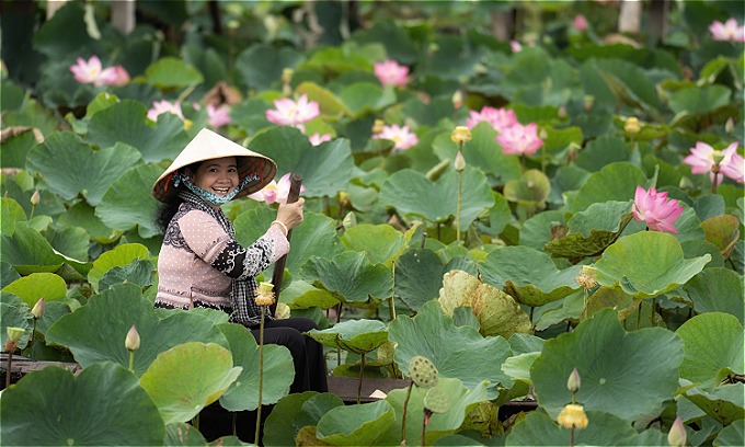 путёвка во вьетнам