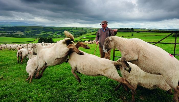 ТУР В УЭЛЬС