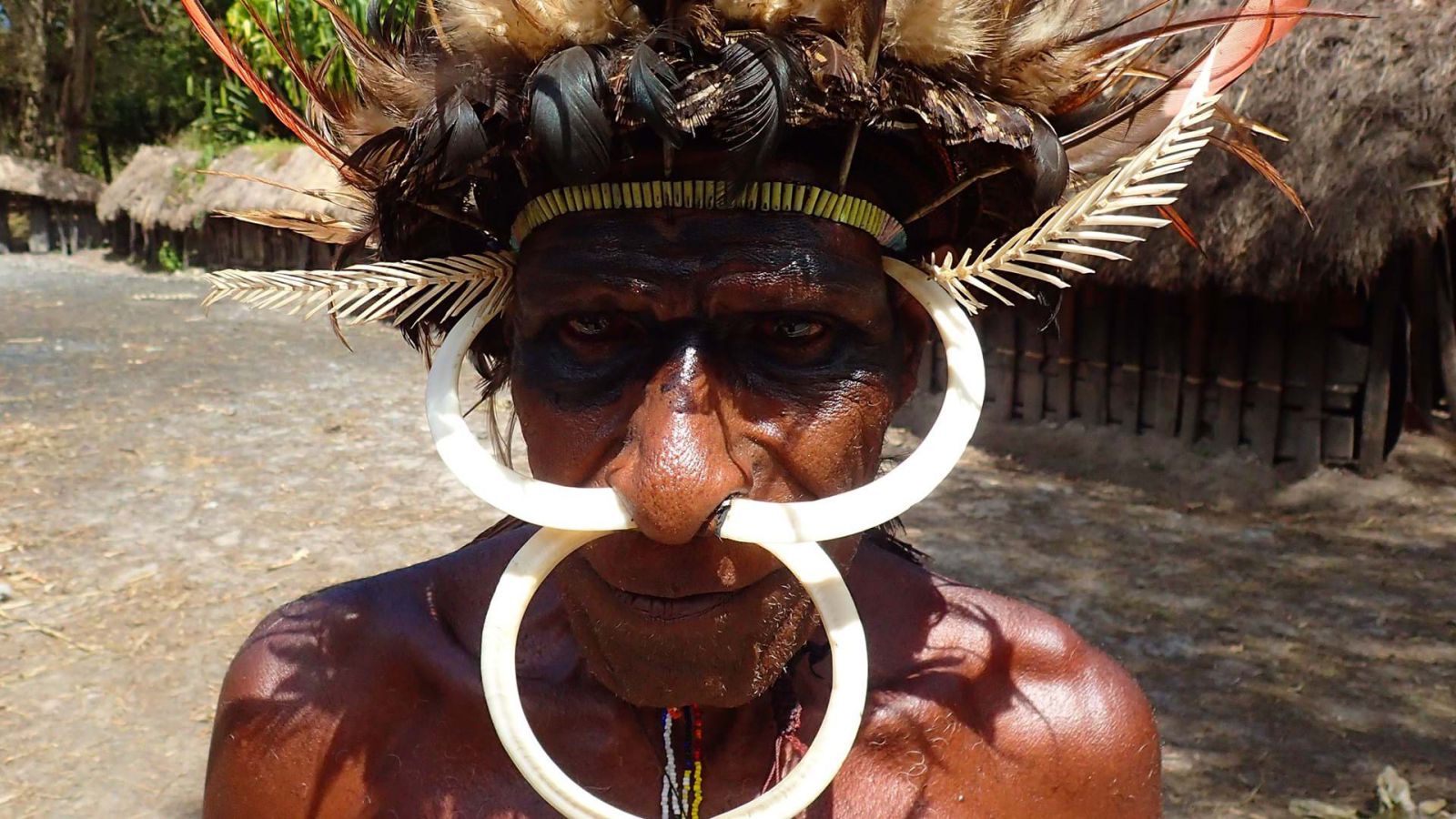 тури по папуа