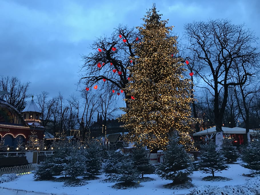 новогодний тур в данию