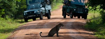 Туры на Шри-Ланку