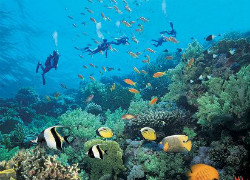 Хайнань экскурсии